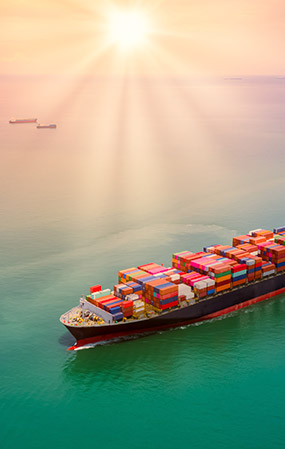 İhracat Hizmetleri İhracat Hizmetleri