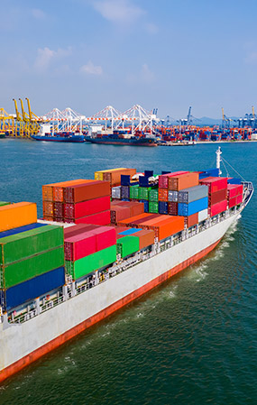 İthalat Hizmetleri İthalat Hizmetleri